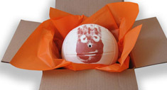 Wilson
