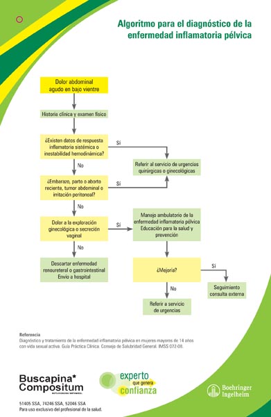 Experto que genera confianza - 8