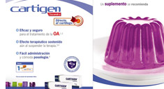 Gelatina