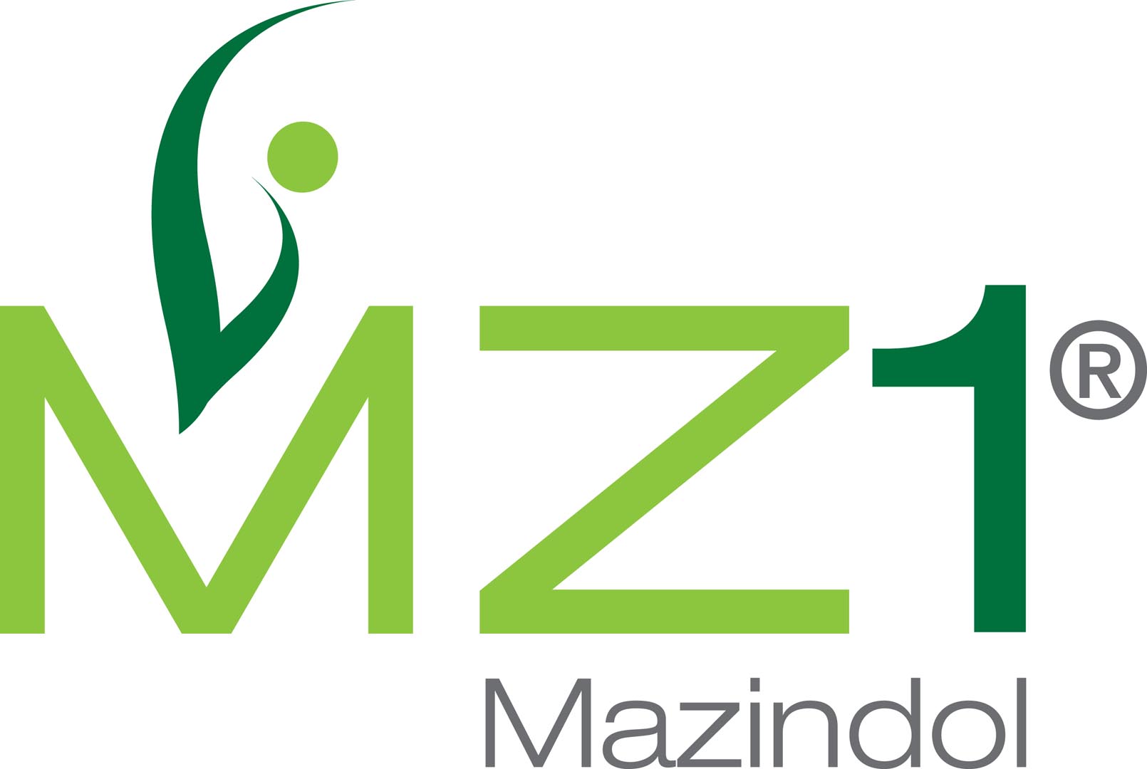 MZ1 - 1