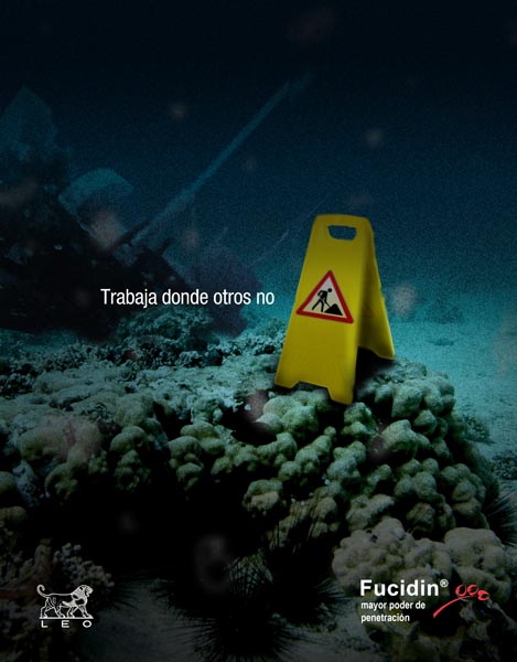 Trabaja donde otros no - 2