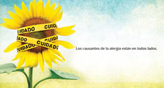 Están en todos lados