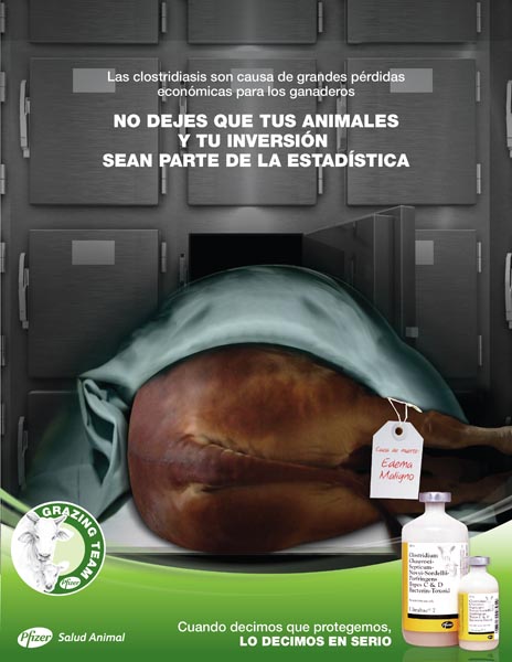 Morgue - 1