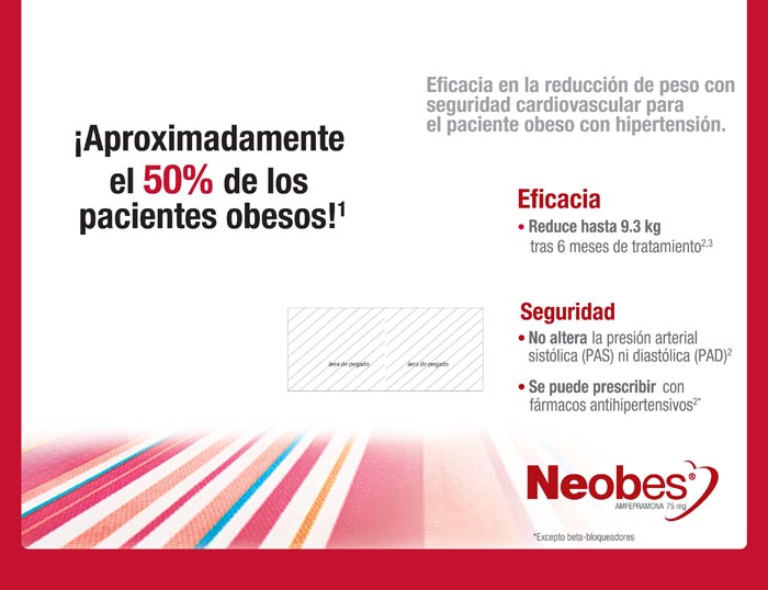 Ante un problema gordo de obesidad - 7