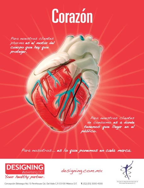 Corazón y cerebro - 1