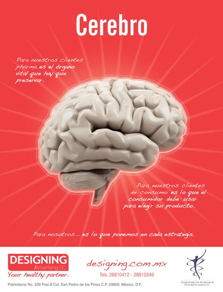 Corazón y cerebro - 2