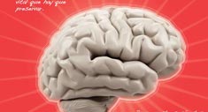 Corazón y cerebro