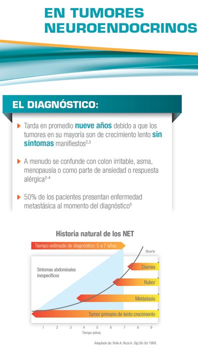 Evolución - 2