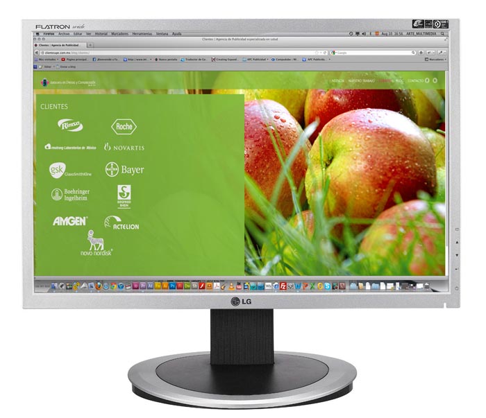 Página Web APC - 3