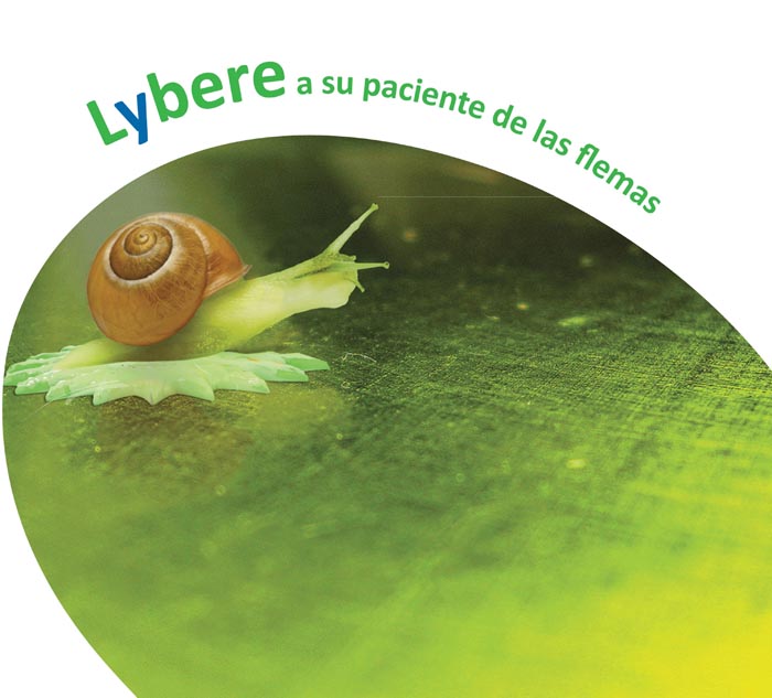 Liberación - 7