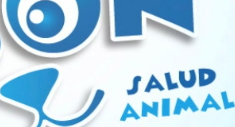 Guapetón