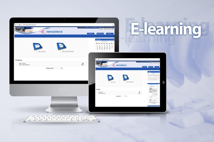 E-learning entrenamiento Fza de Ventas. - 1