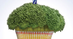 Cupkake