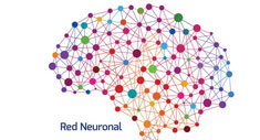 Red Neuronal