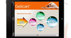 Innovación digital Gelicart