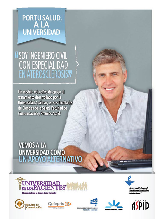 Ingeniero Civil - 1