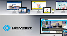 Liomont - Estrategia digital
