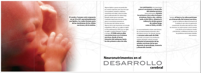 Ludoteca Universum México - 2