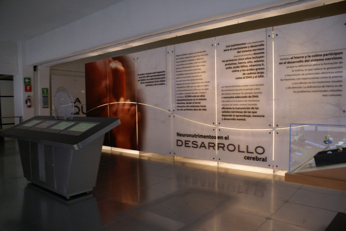 Ludoteca Universum México - 3