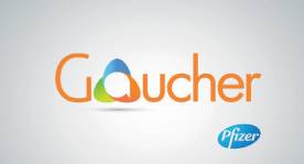 Logo Gaucher
