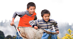 Apotex y Teletón 2013