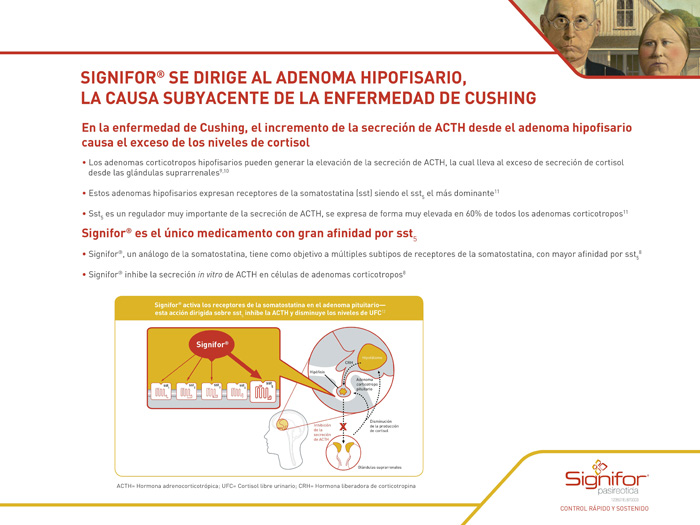Cuando el flujo del cortisol es anormal - 3