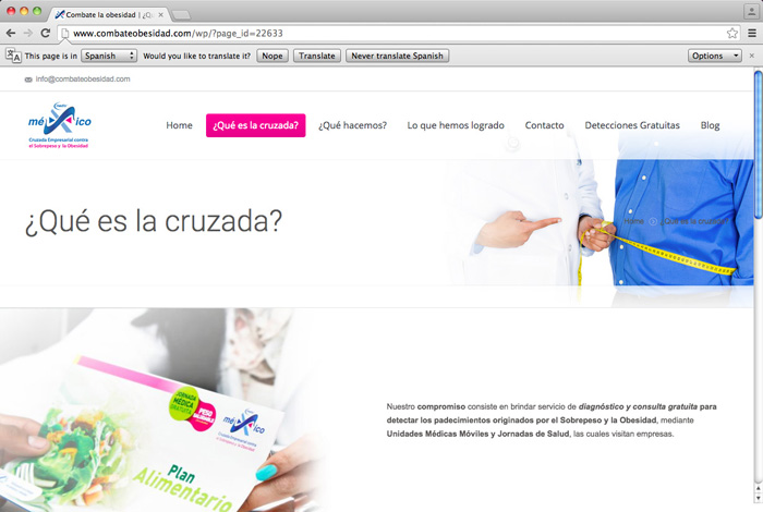 Pagina Web Combate Obesidad - 4