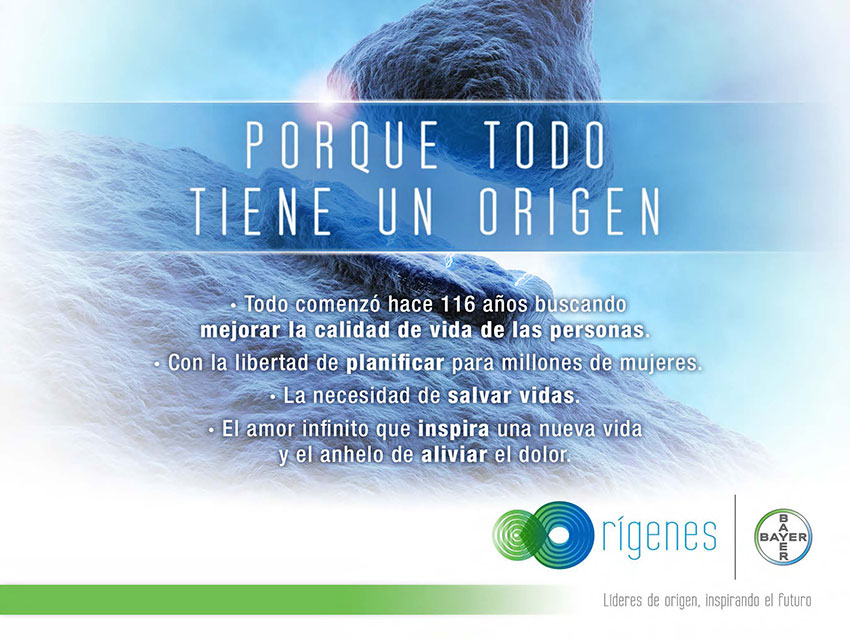 Bayer Orígenes - 6