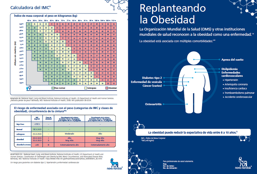 Replanteando la obesidad - 4