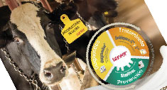 Programa de Mejora en la Calidad de Leche