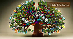 El árbol de todos
