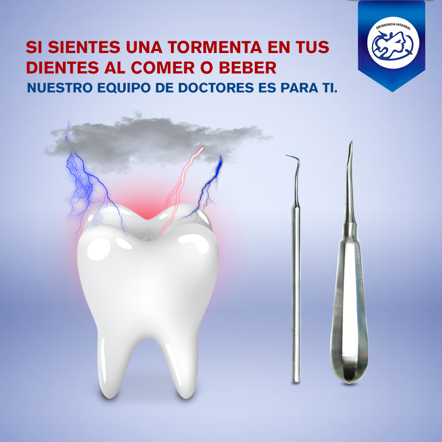 Video Institucional - 6