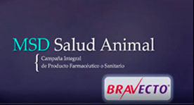 Campaña Integral Bravecto