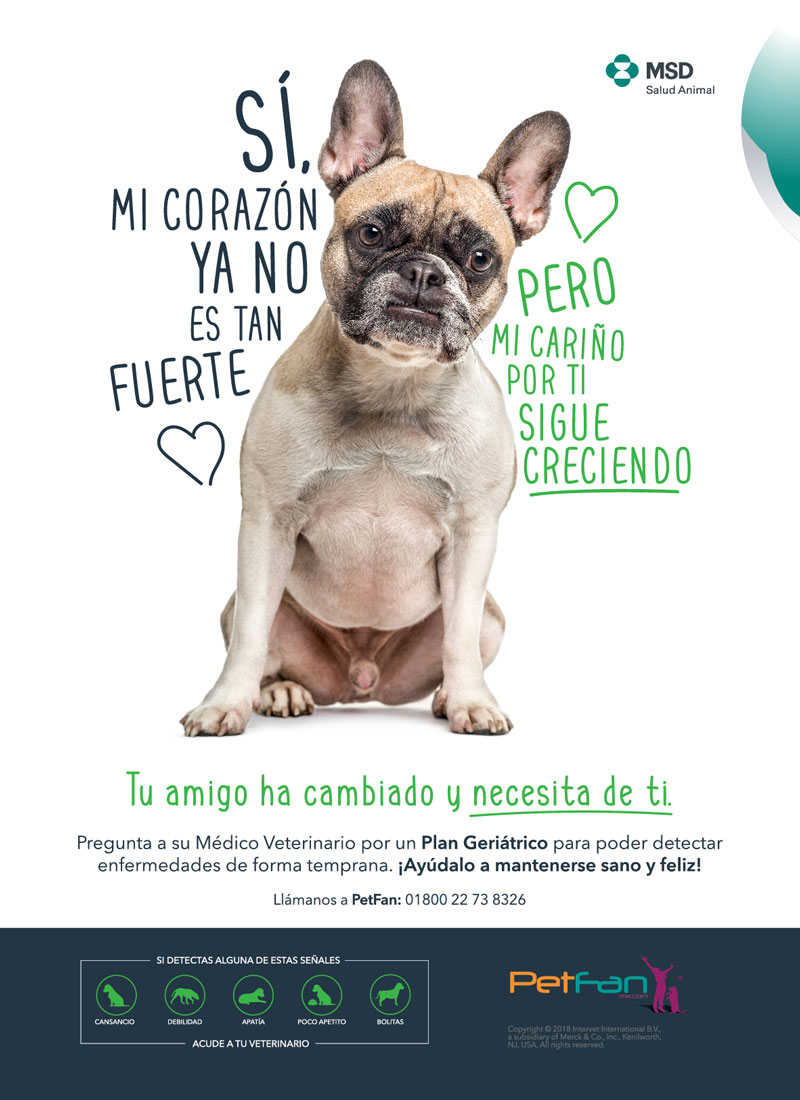 Patitas - 3