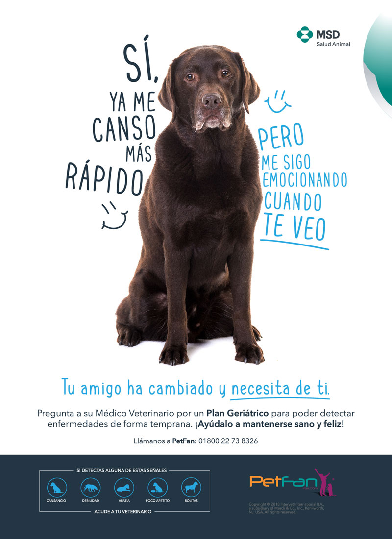 Patitas - 4