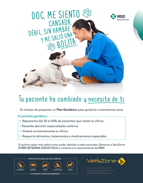 Patitas - 5