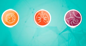 MSD Corticosteroides: Una Estrategia digital en línea con la marca