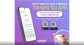Guía Porcinos
