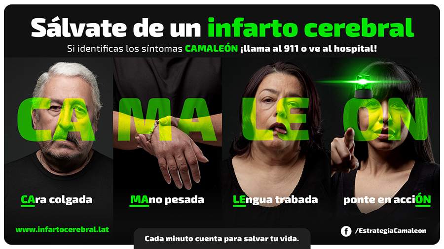 Estrategia camaleón - 2