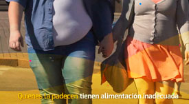Sitio web: Sinolvir