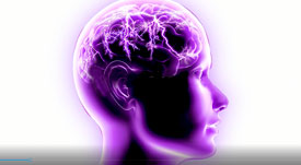 Luchando por la epilepsia sin barreras