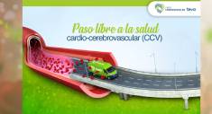 Cardiovascular TEVA