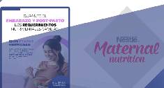 Nestlé Maternal Nutrition Influencers Strategy