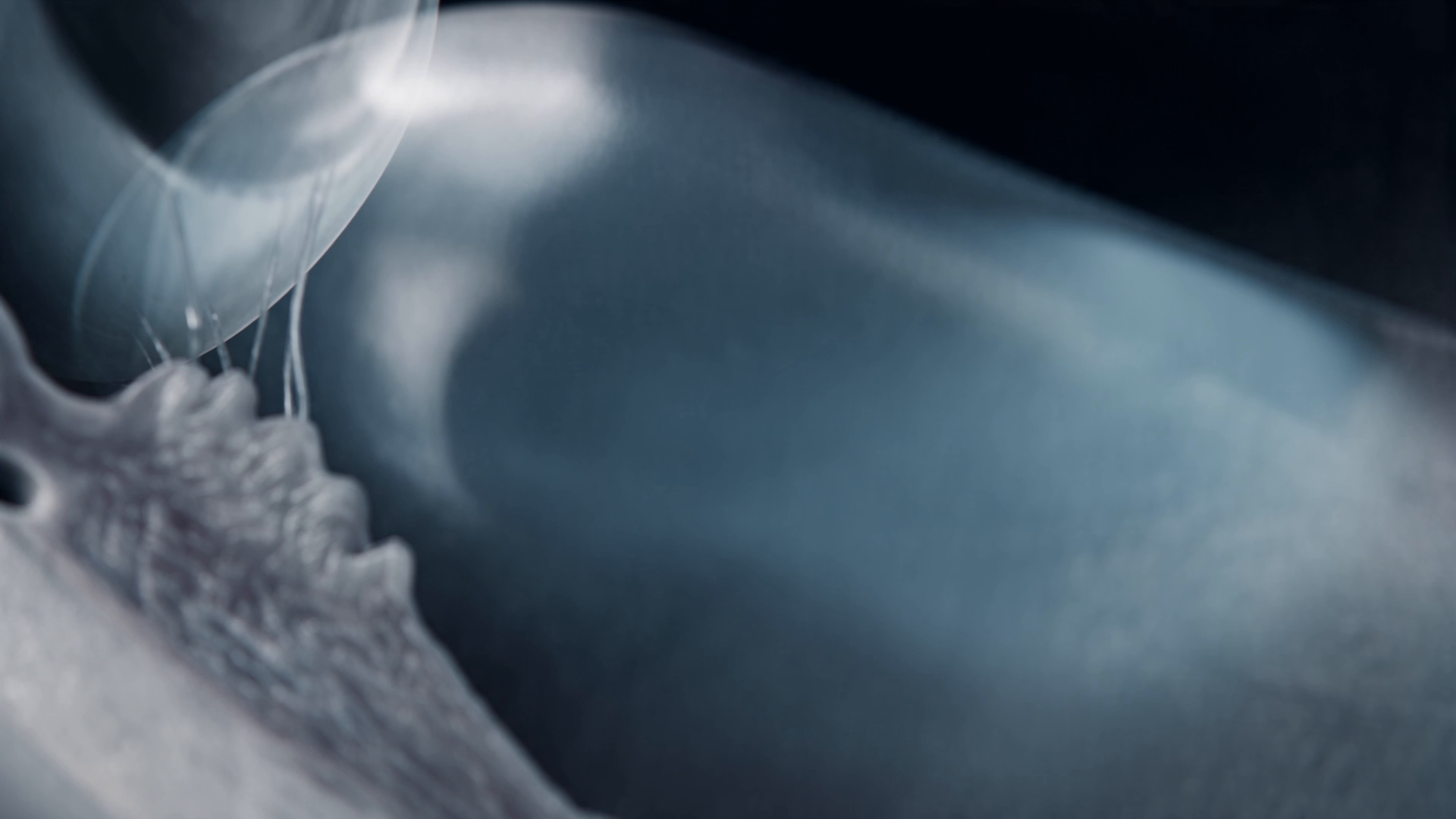 Krytantek Ofteno - 4