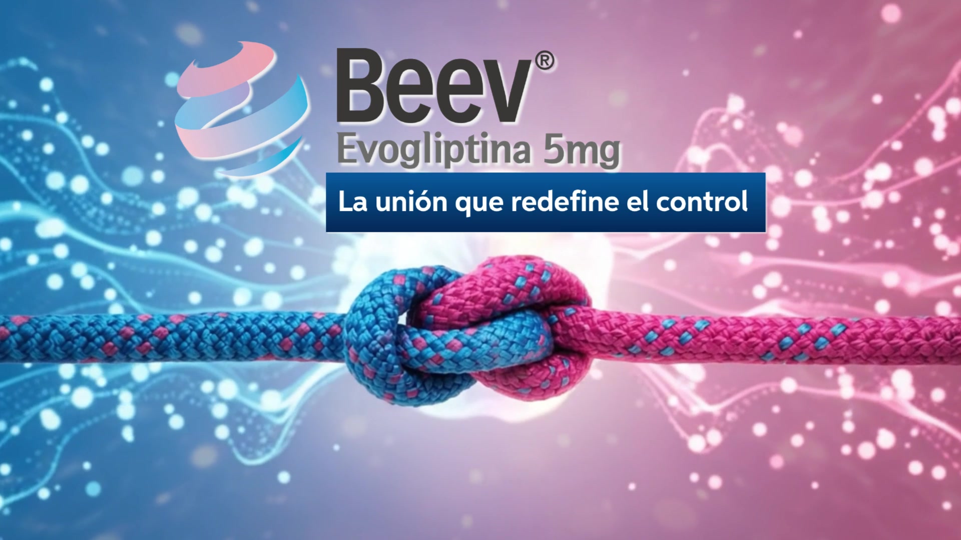 Programa Beev - 5