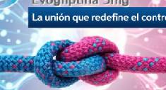 Programa Beev