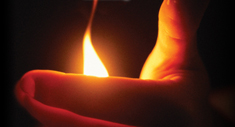Velas