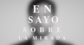 Ensayo Sobre la Mirada