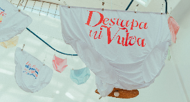 Destapa tu vulva