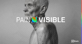 Painvisible
